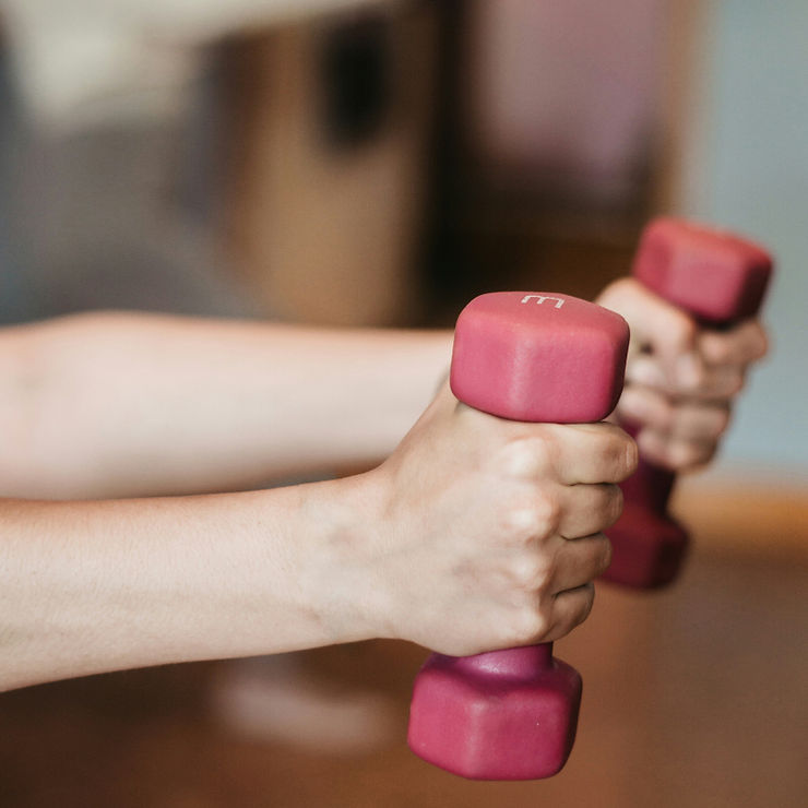 The image shows arms that hold two red weights for training